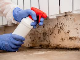 Best Industrial Mold Remediation  in Smith Center, KS